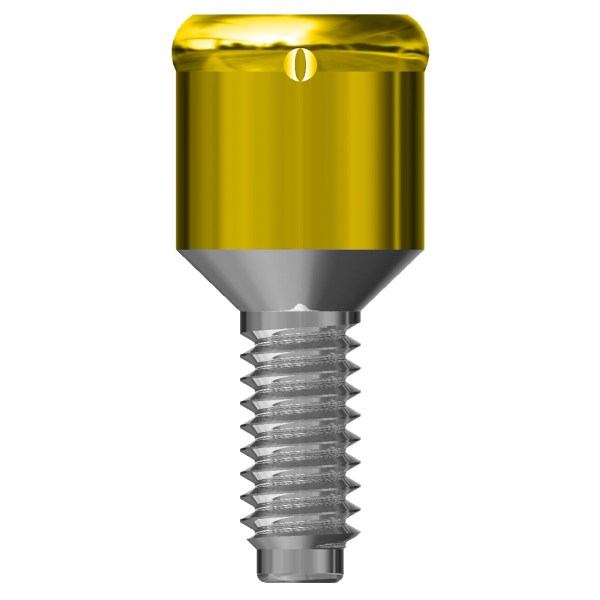 MONCONE CONNEKTOR h2  (2) copia8